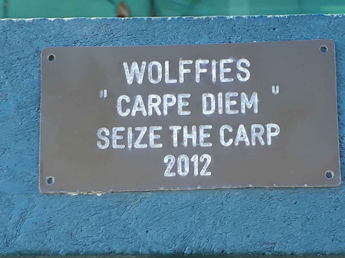 ? Wolffies -2012