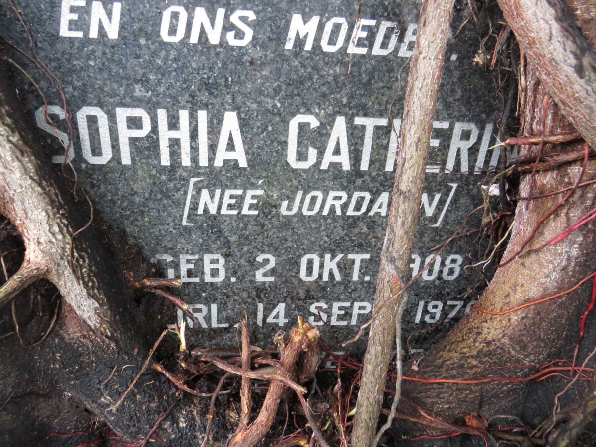 ? Sophia Catharina nee JORDAAN 1908-197?