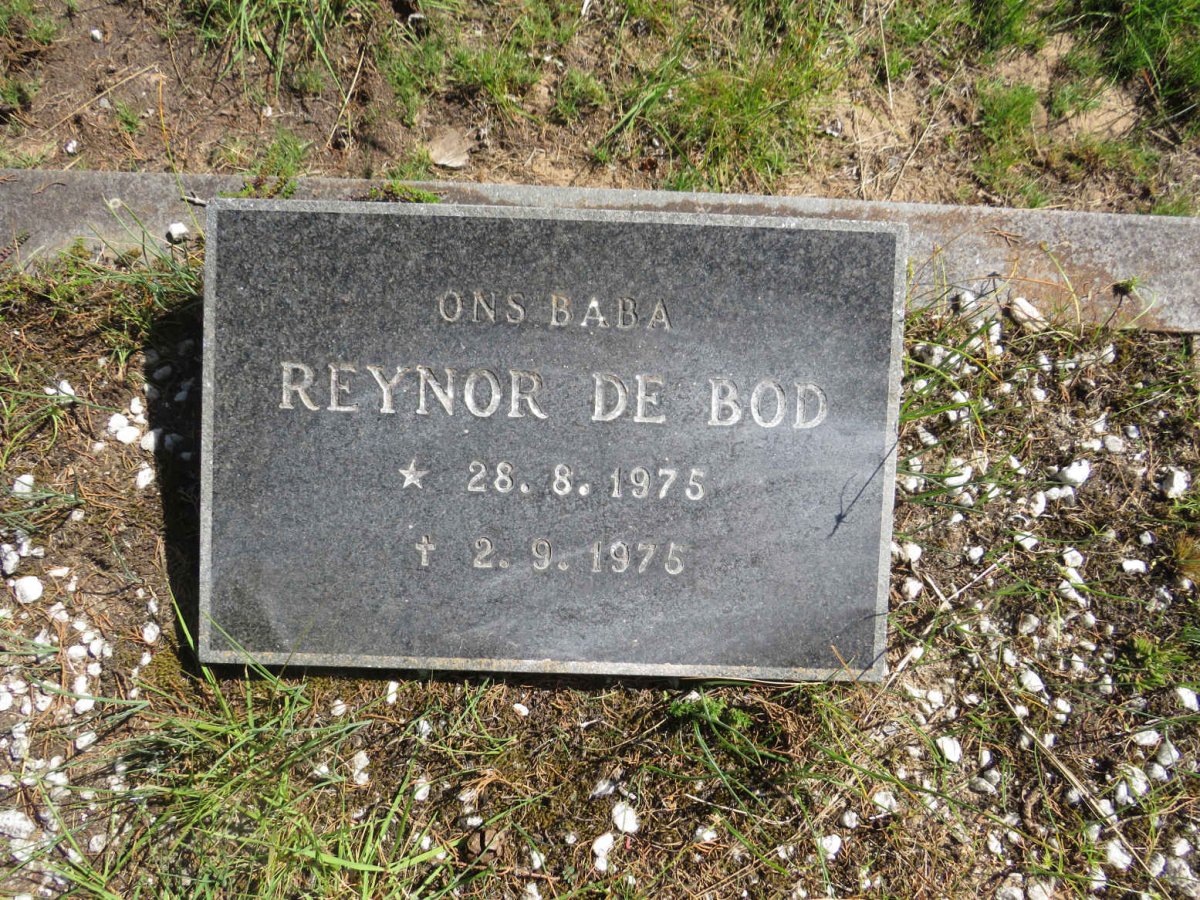 BOD Reynor, de 1975-1975