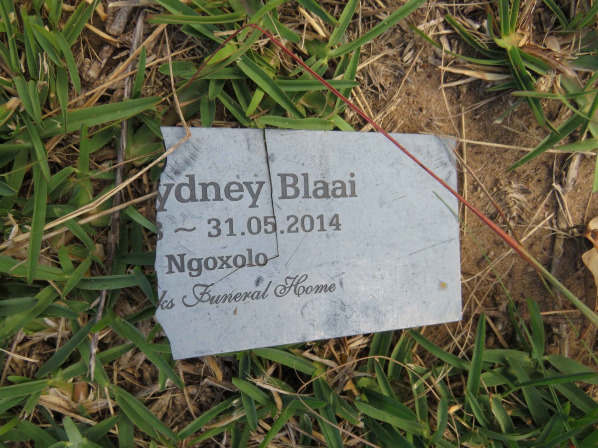 BLAAI ?ydney -2014