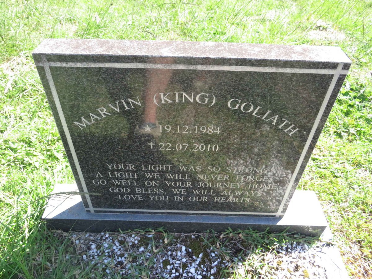 GOLIATH Marvin 1984-2010