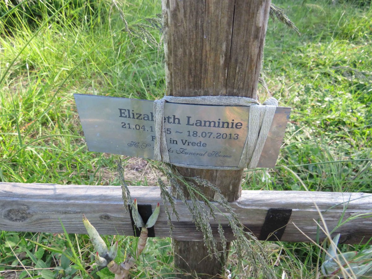 LAMINIE Elizabeth 1955- 2013