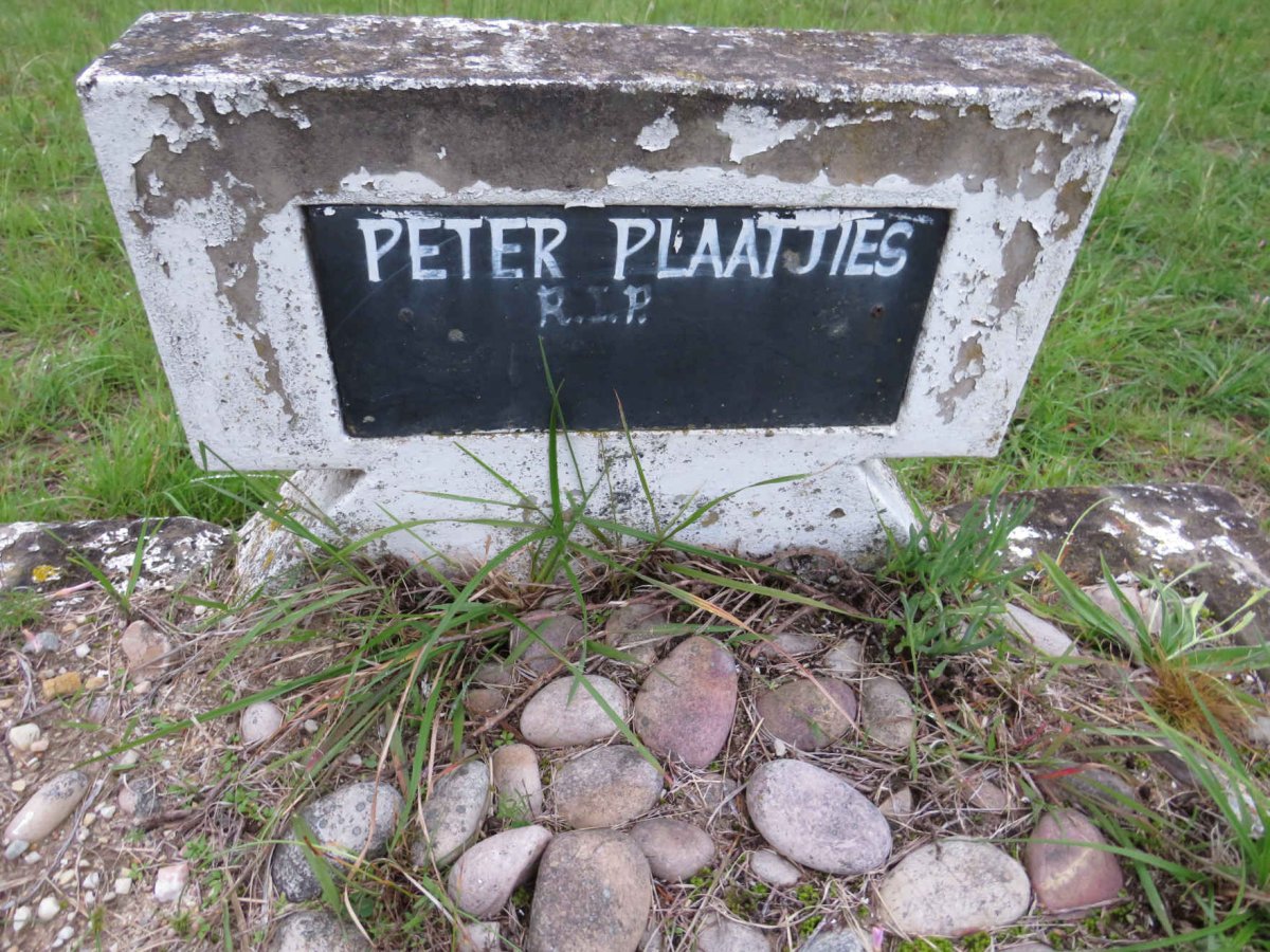 PLAATJIES Peter