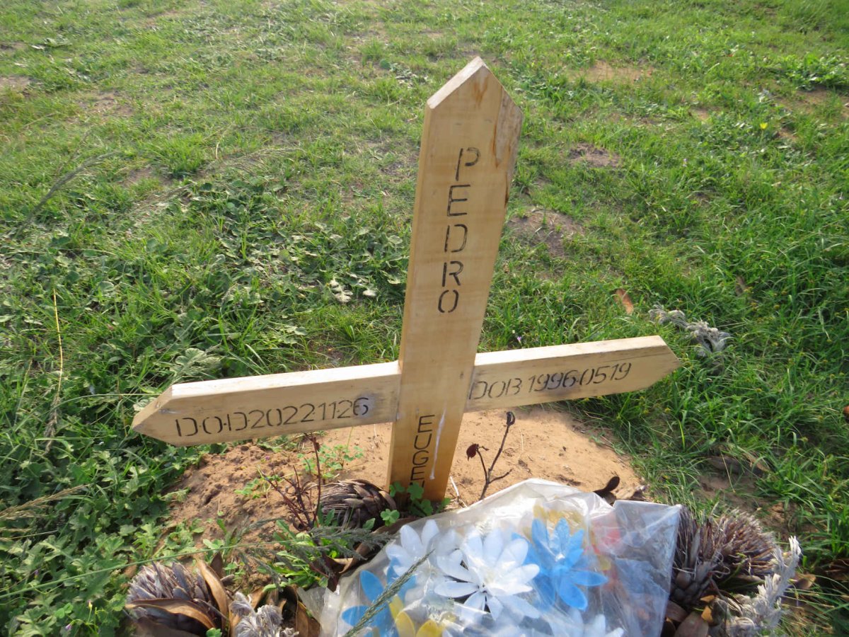 PEDRO Eugene 1996-2022