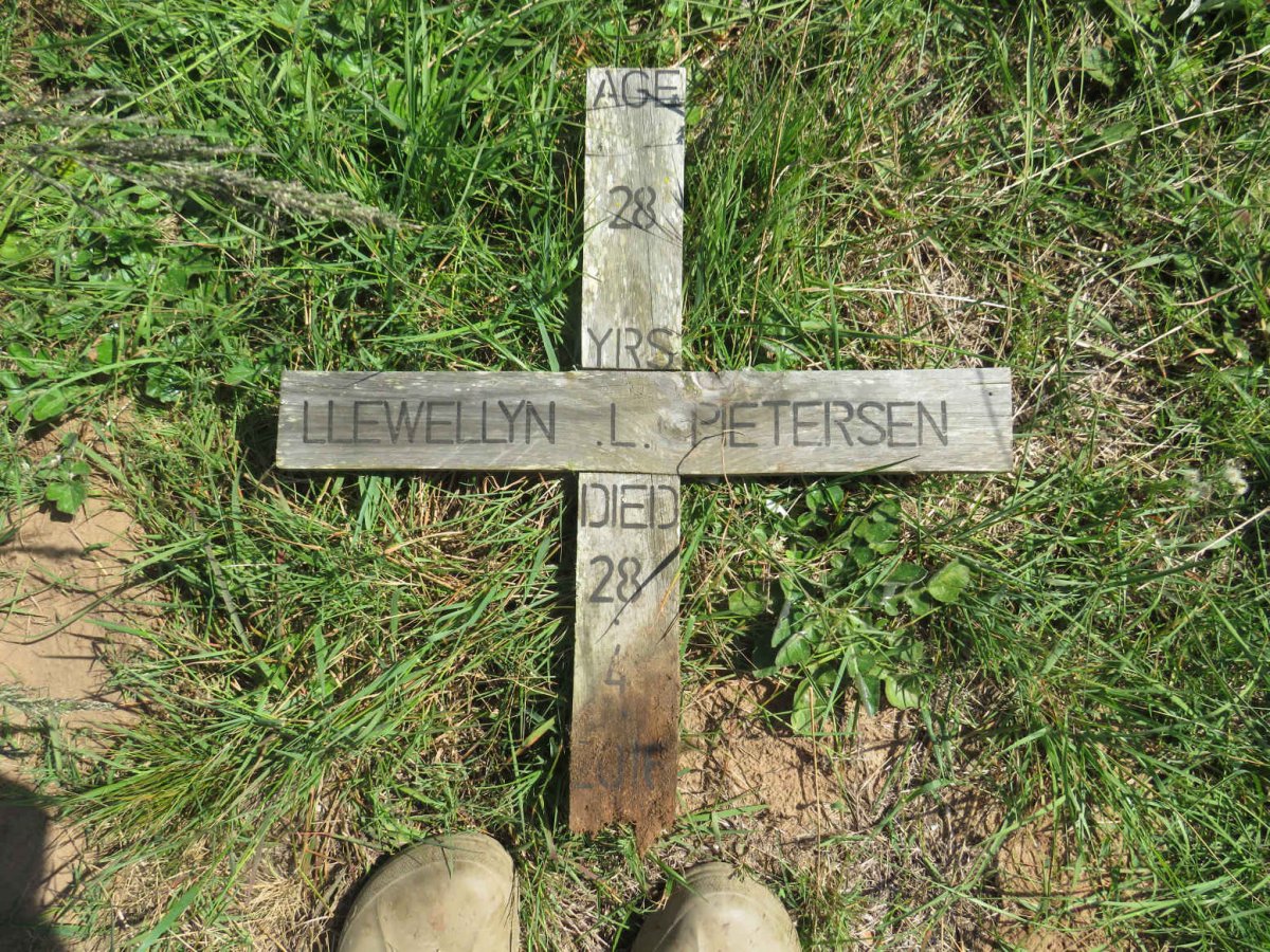PIETERSEN Llewellyn L. -2016