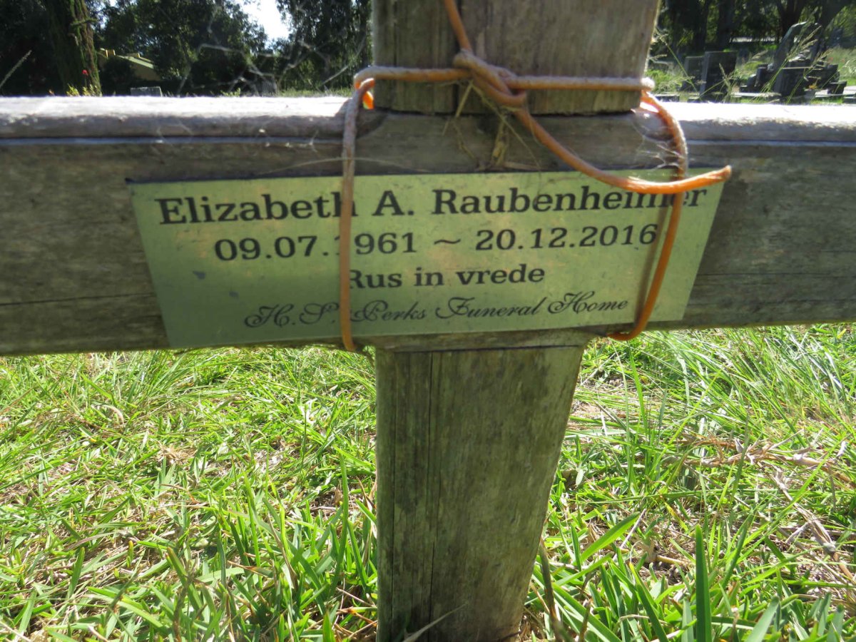 RAUBENHEIMER Elizabeth A. 1961-2016