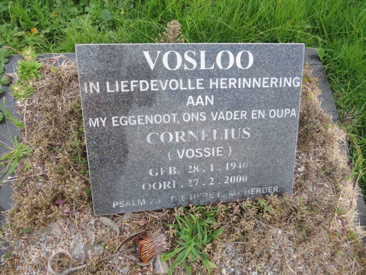 VOSLOO Cornelius 1940-2000