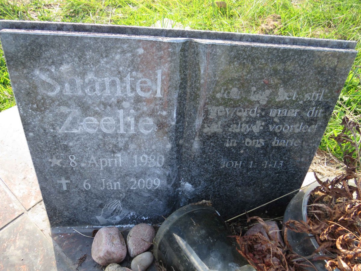 ZEELIE Shantel 1980-2009
