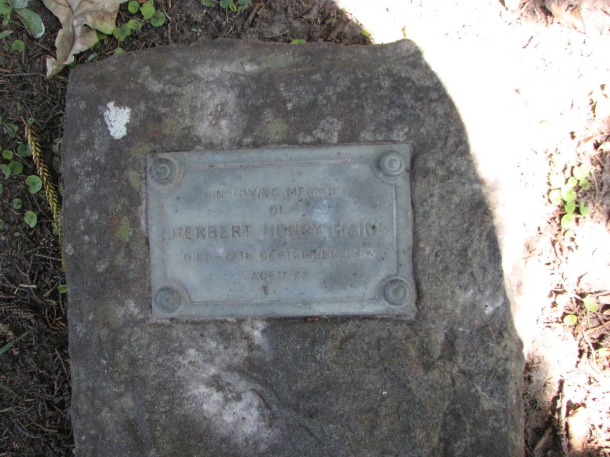 HAINS Herbert Henry 