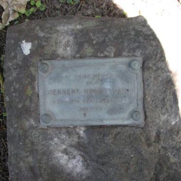 HAINS Herbert Henry 