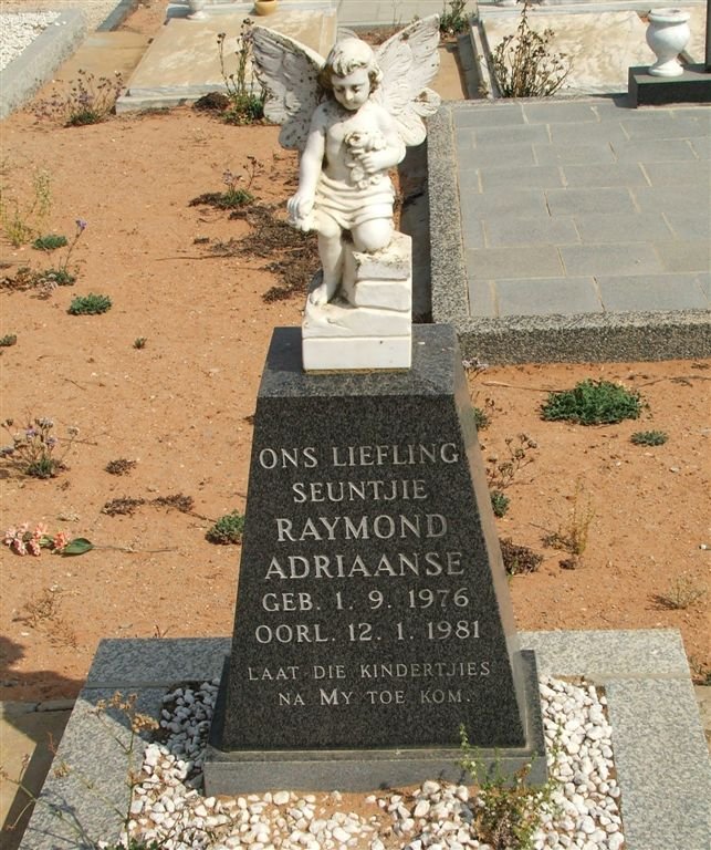 ADRIAANSE Raymond 1976-1981