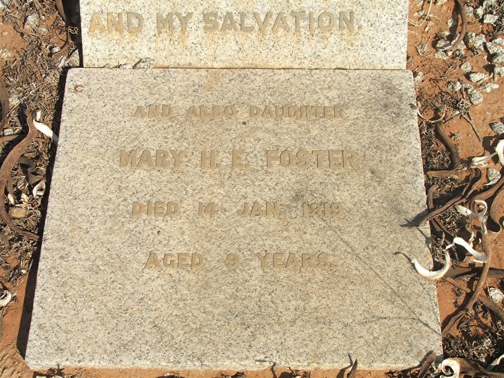 FOSTER Mary H.E. -1919