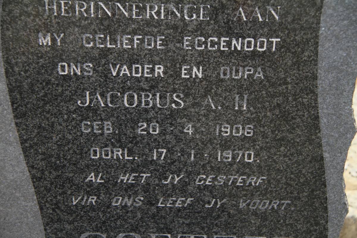 COETZEE Jacobus A. H. 1906-1970