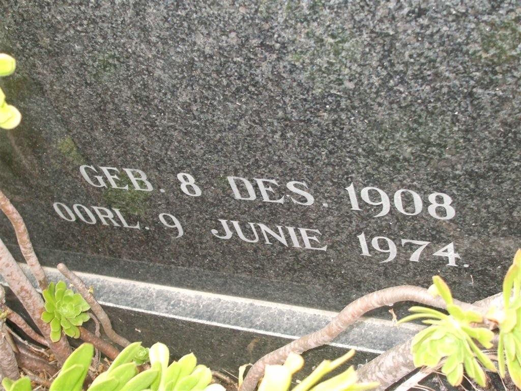 ERASMUS 1908-1974