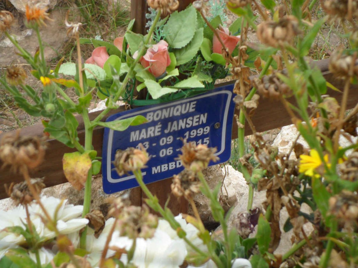 JANSEN Bonique Maré 1999-2015