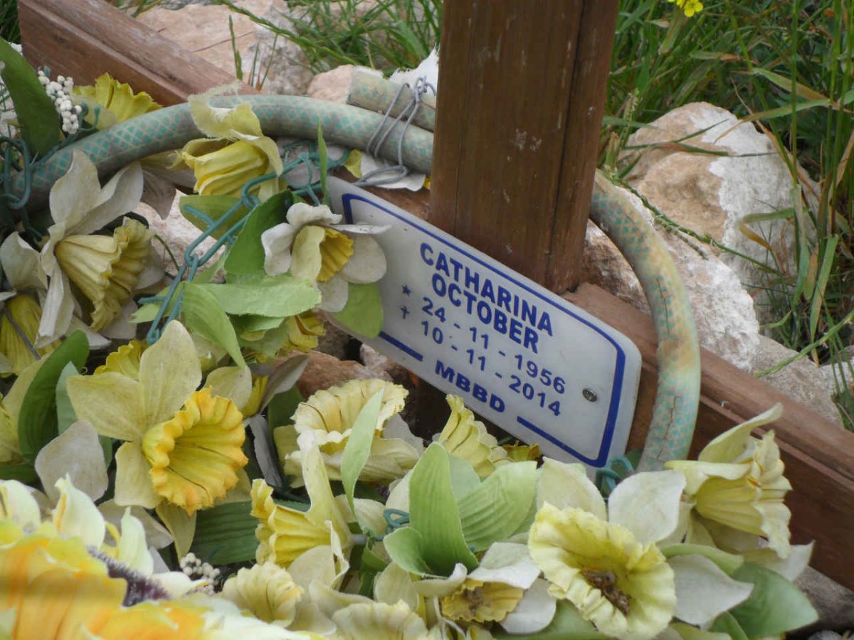 OCTOBER Catharina 1956-2014