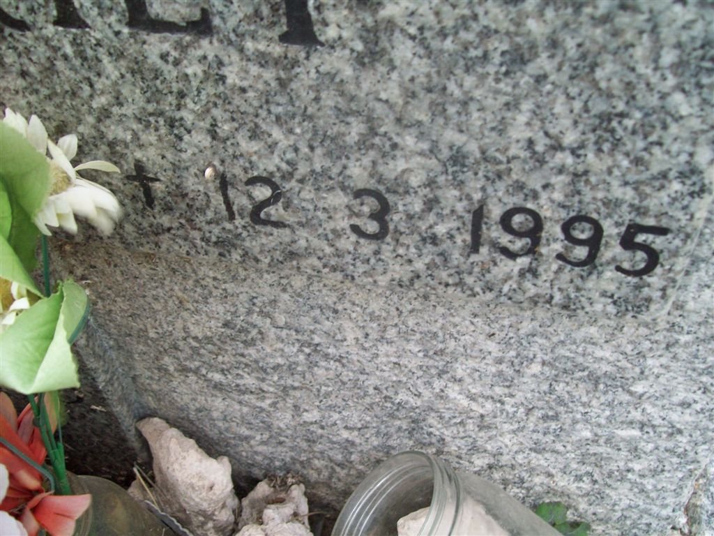 RIET William John, van der 1973-1995
