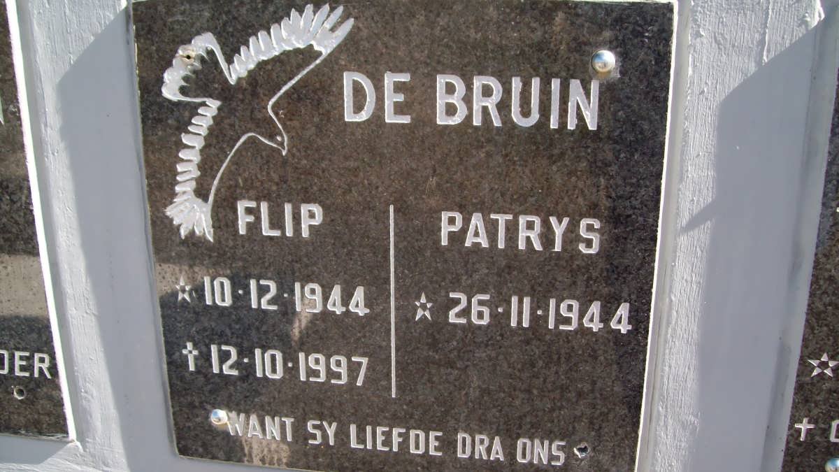 BRUIN Flip, DE 1944-1997 &amp; Patrys 1944-
