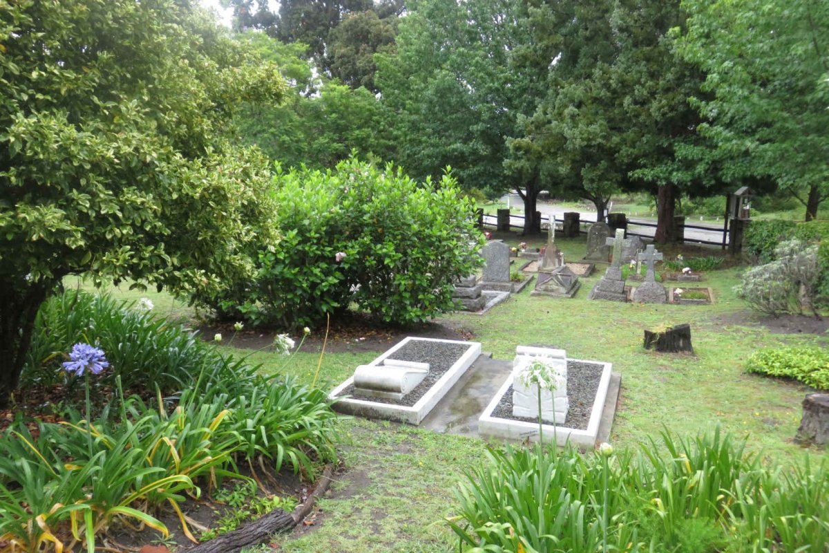 3. Overview