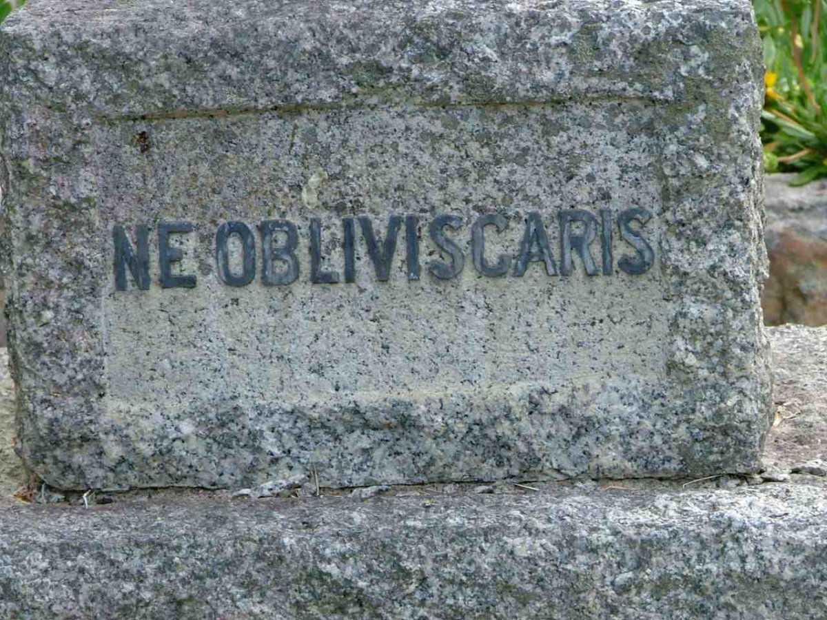 NEOBLIVISCARIS