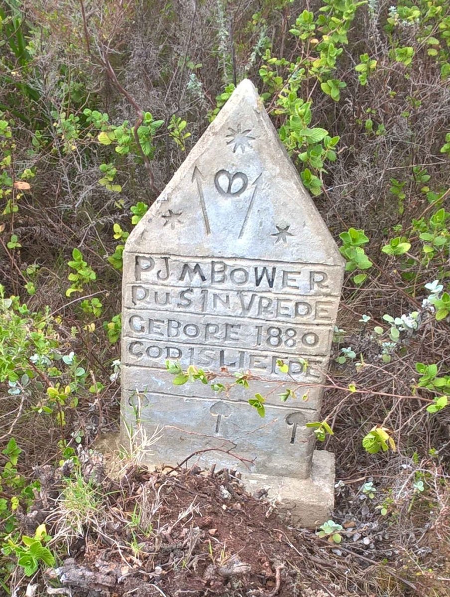 BOWER P.J.M. 1880-