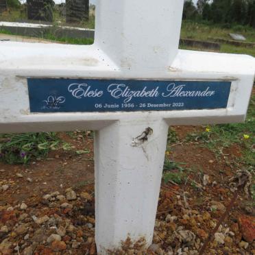 ALEXANDER Elese Elizabeth 1956-2023
