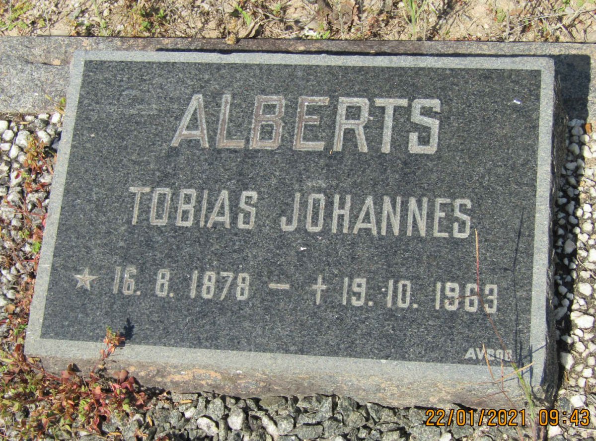 ALBERTS Tobias Johannes 1878-1963