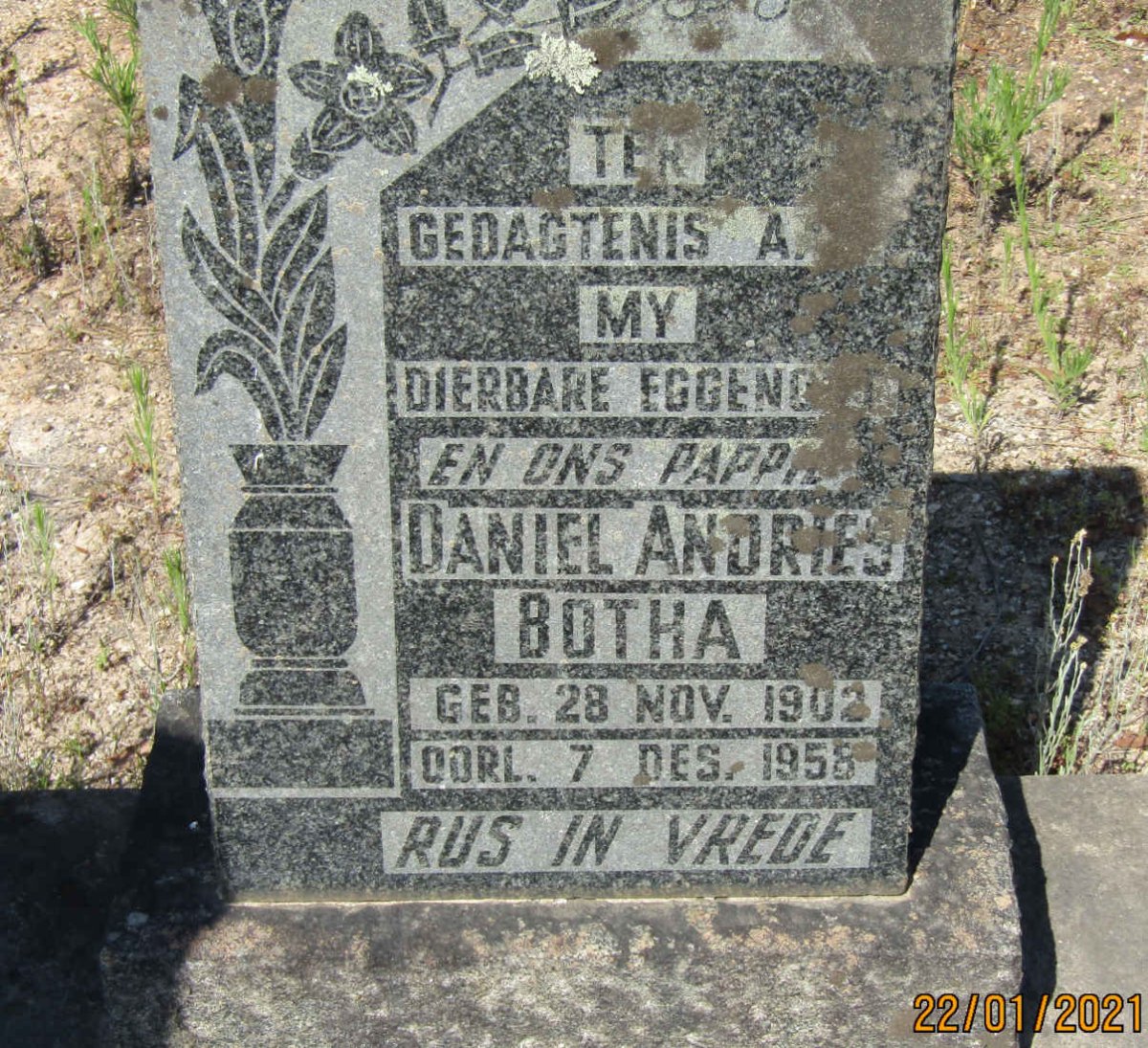 BOTHA Daniel Andries 1902-1958