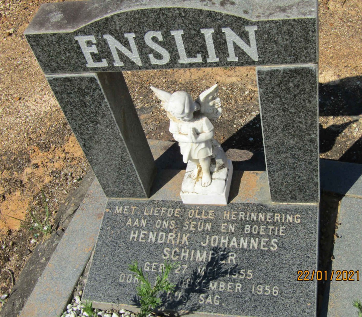 ENSLIN Hendrik Johannes Schimper 1955-1956