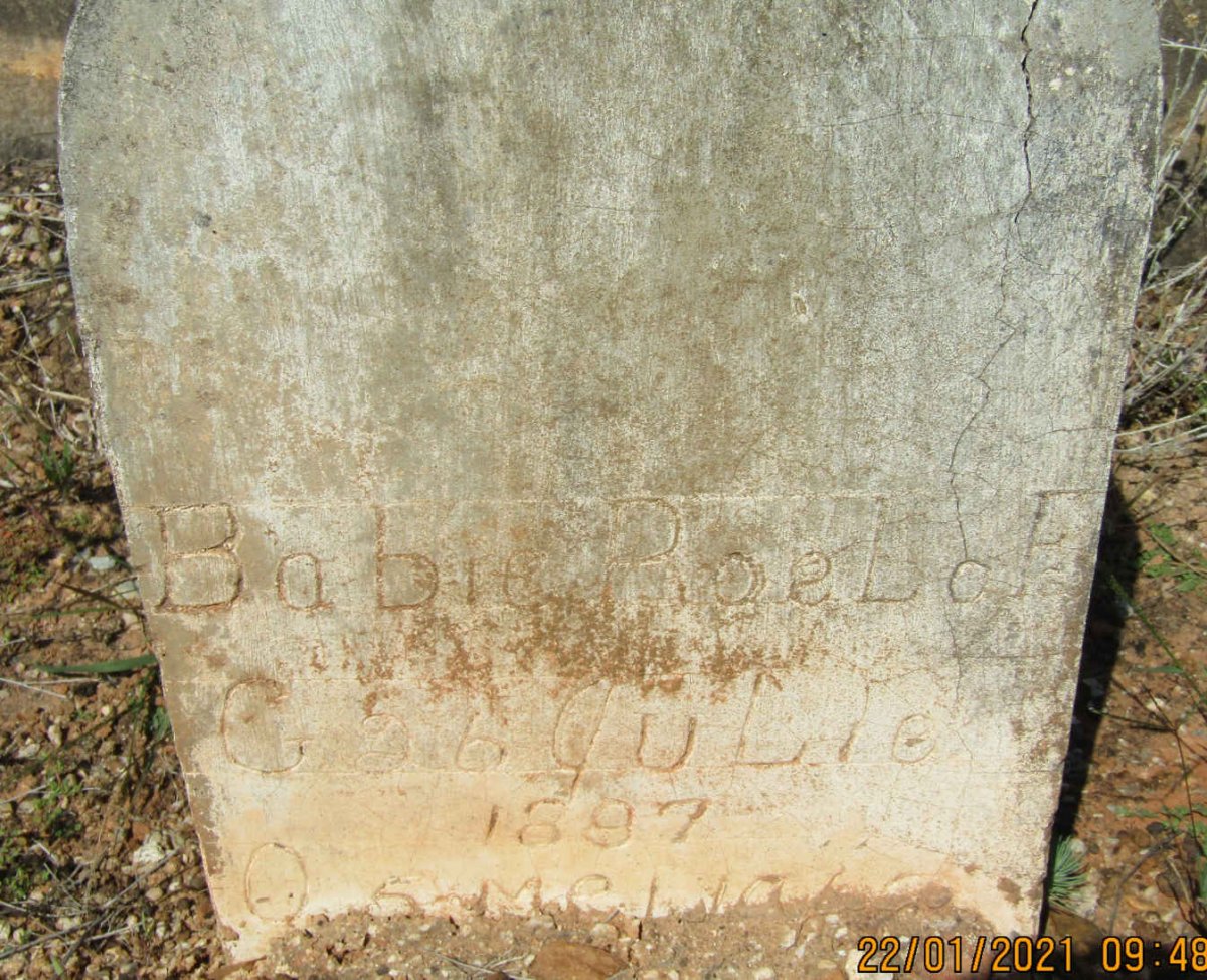 ROELOFS Babie 1897-