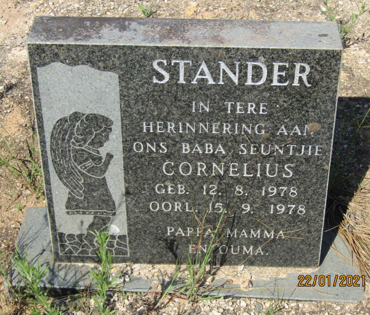 STANDER Cornelius 1978-1978