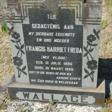 WALLACE Francis Harriet Freda nee VLOOH 1895-1950