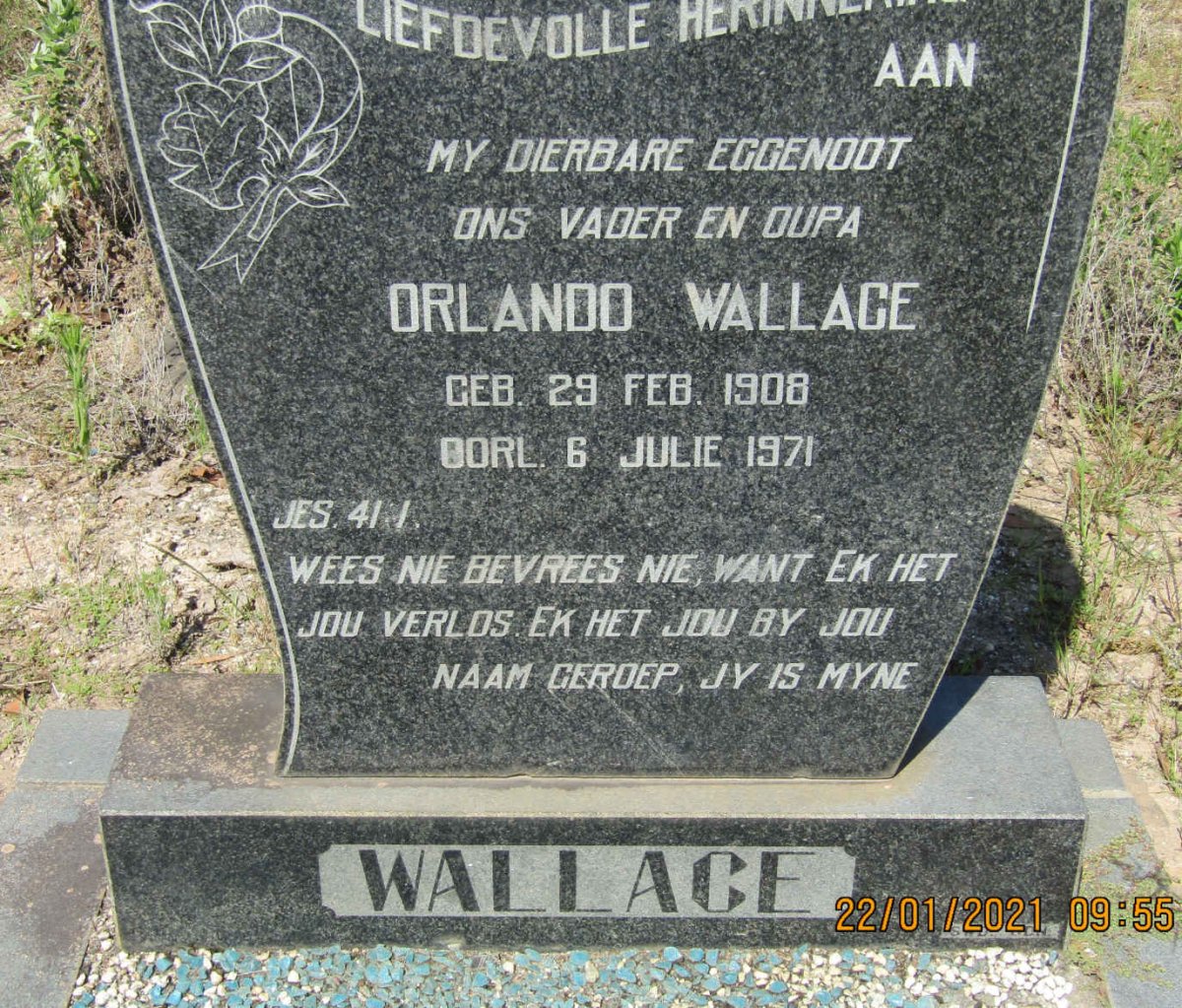 WALLACE Orlando 1908-1971