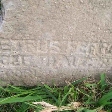 ? etrus