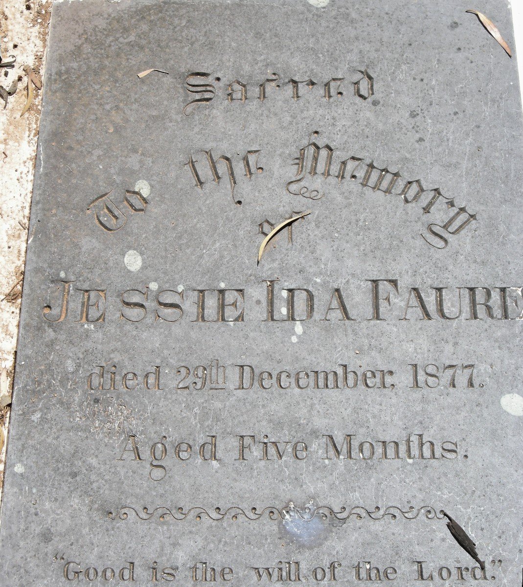 FAURE Jessie Ida 1877-1877