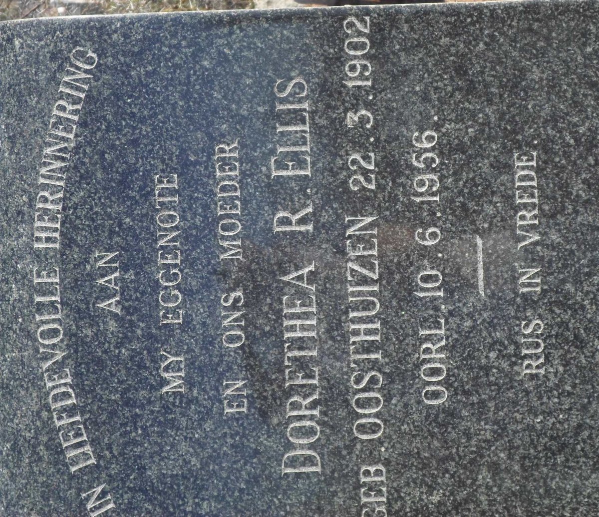 ELLIS Dorethea R. nee OOSTHUIZEN 1902-1956