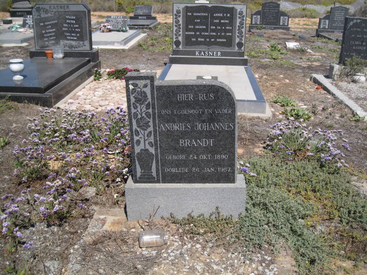 BRANDT Andries Johannes 1890-1957