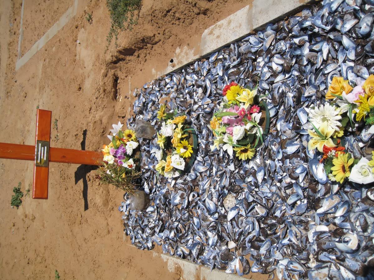DAMEN Mary-Jo Eloise 1982-2009