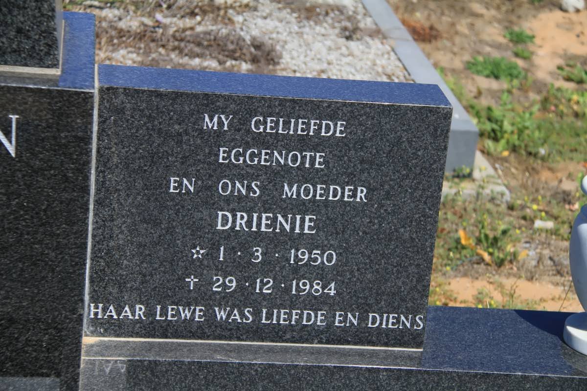 KRÖHN Drienie 1950-1984 