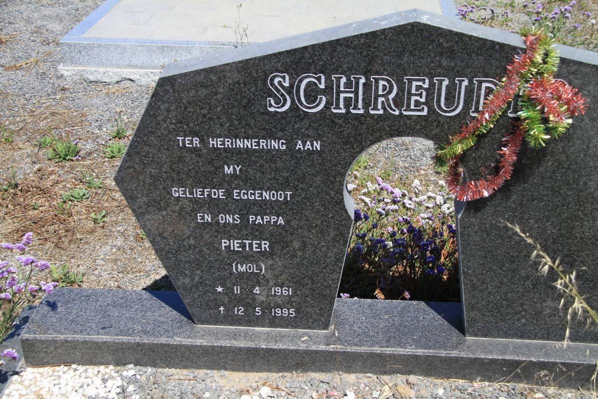 SCHREUDER Pieter 1961-1995