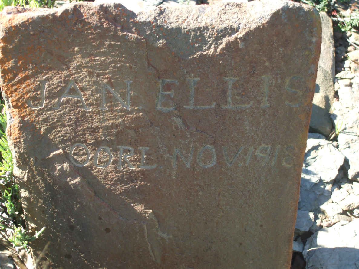 ELLIS Jan -1918
