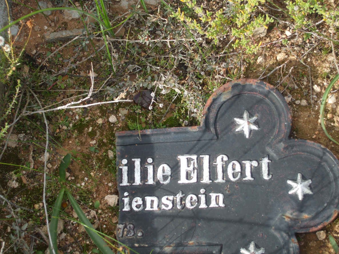 ELFERT Marie Augusta Emilie 1873-1873