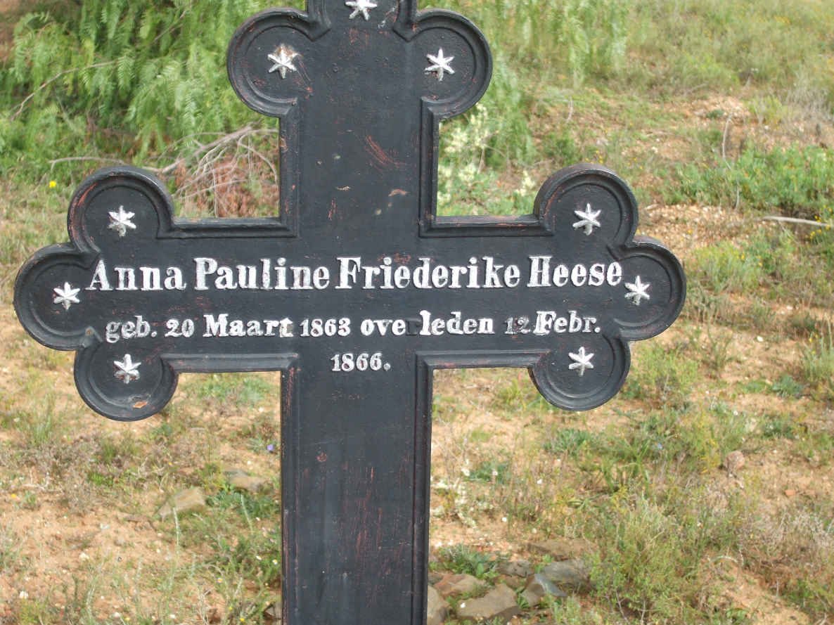 HEESE Anna Pauline Friederike 1863-1866