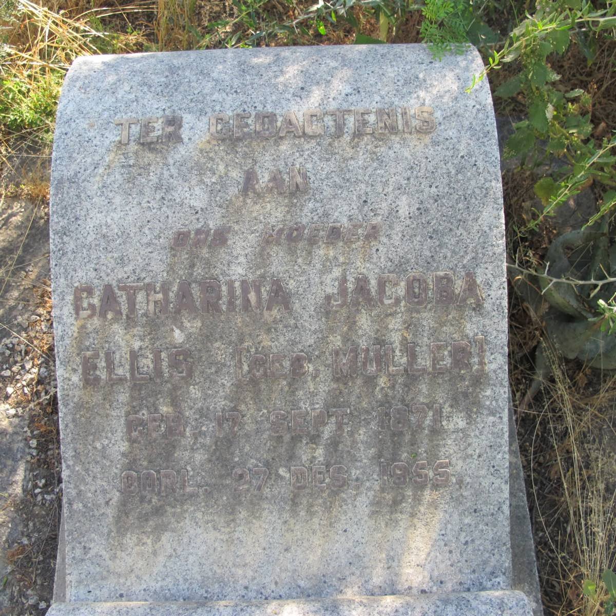 ELLIS Catharina Jacoba nee MULLER 1871-1955