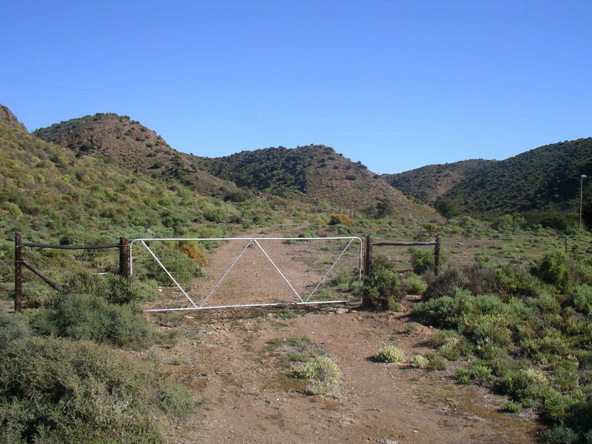 1. Overview on the cemetery