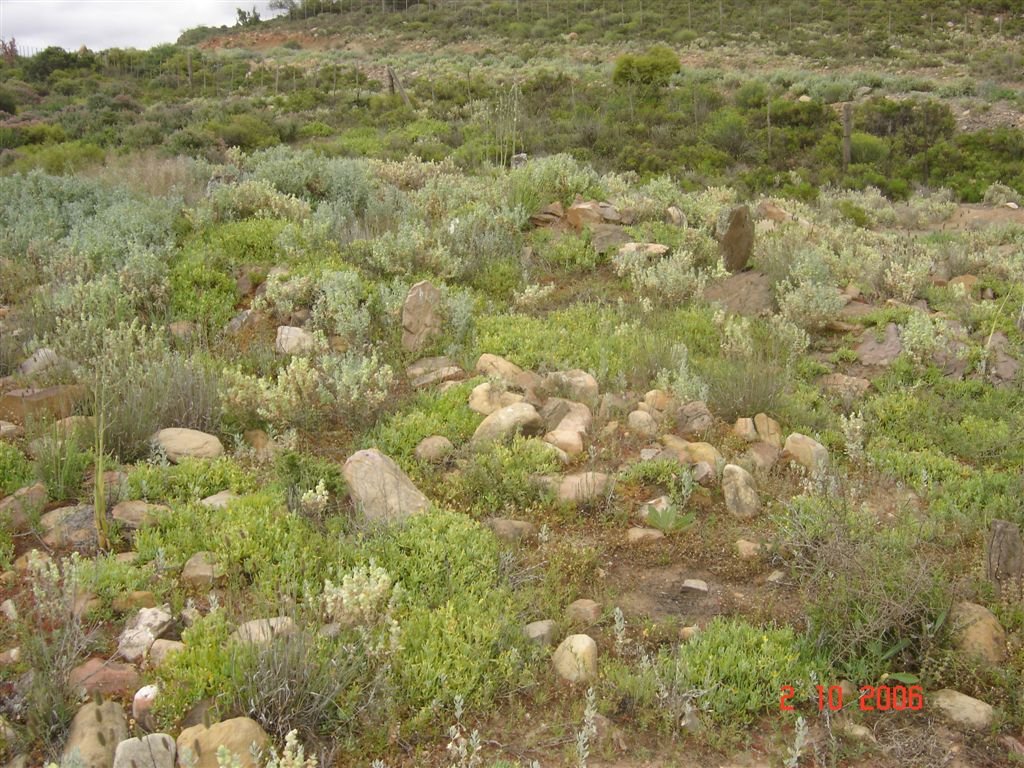5. Overview - Loads of unmarked graves