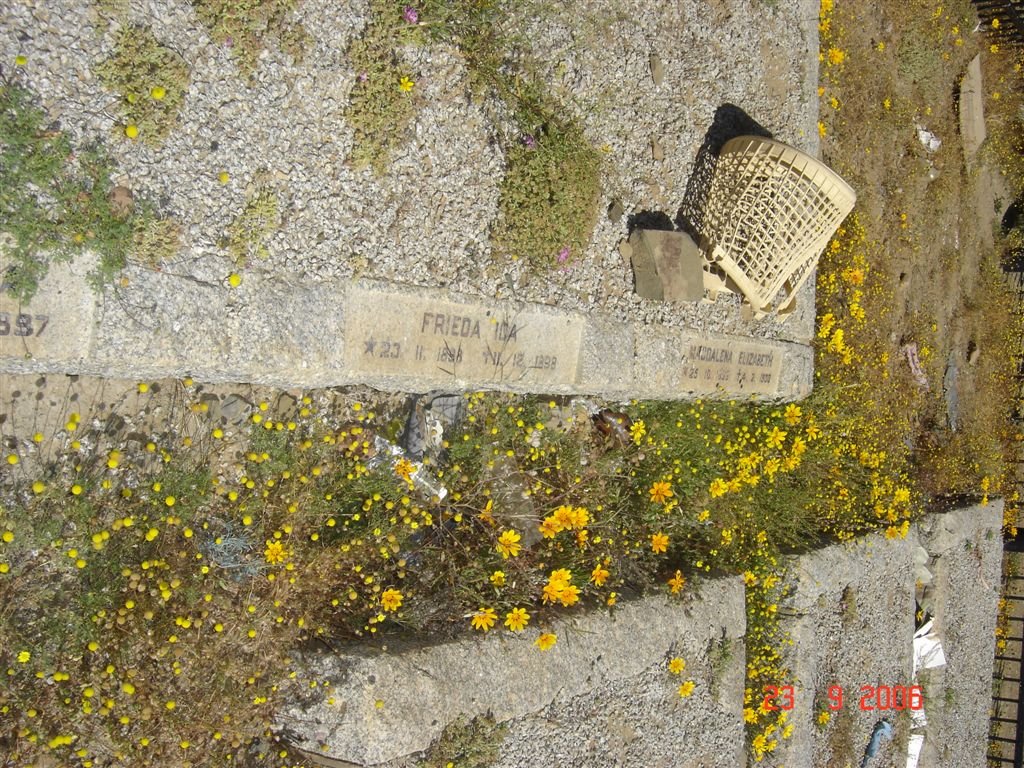 ?? GOLDNER Frieda Ida 1898-1899