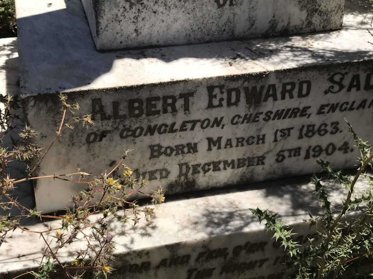 SALT Albert Edward 1863-1904 _2