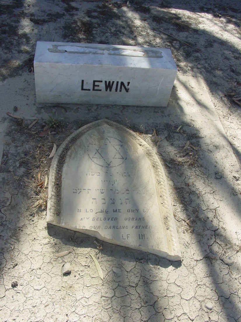 LEWIN Shabtai