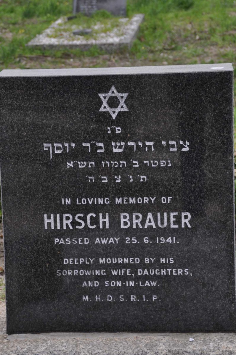 BRAUER Hirsch -1941